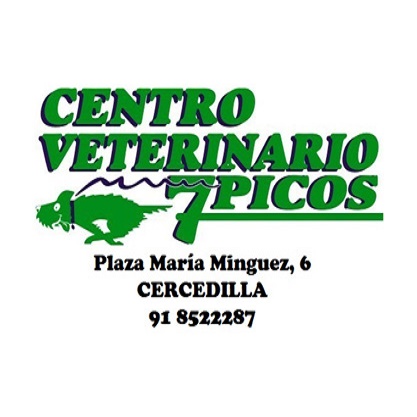 10% discount