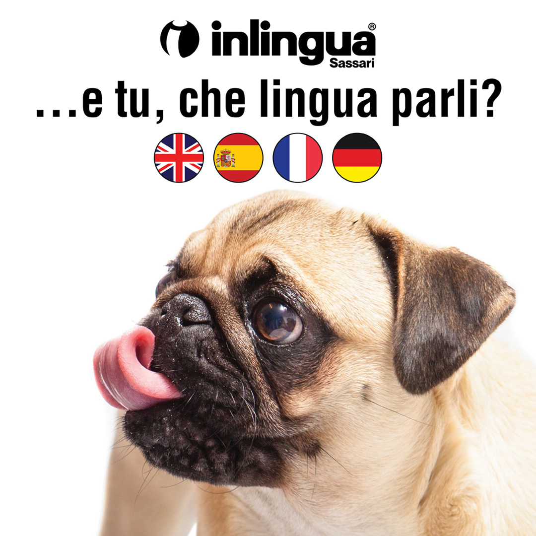 20% off on annual language group courses