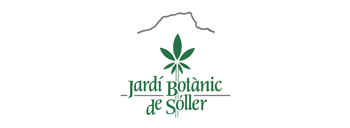 25% discount on the individual ticket price.
