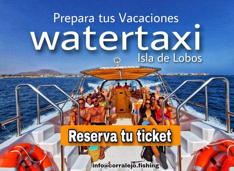 VISITA LA ISLA DE LOBOS